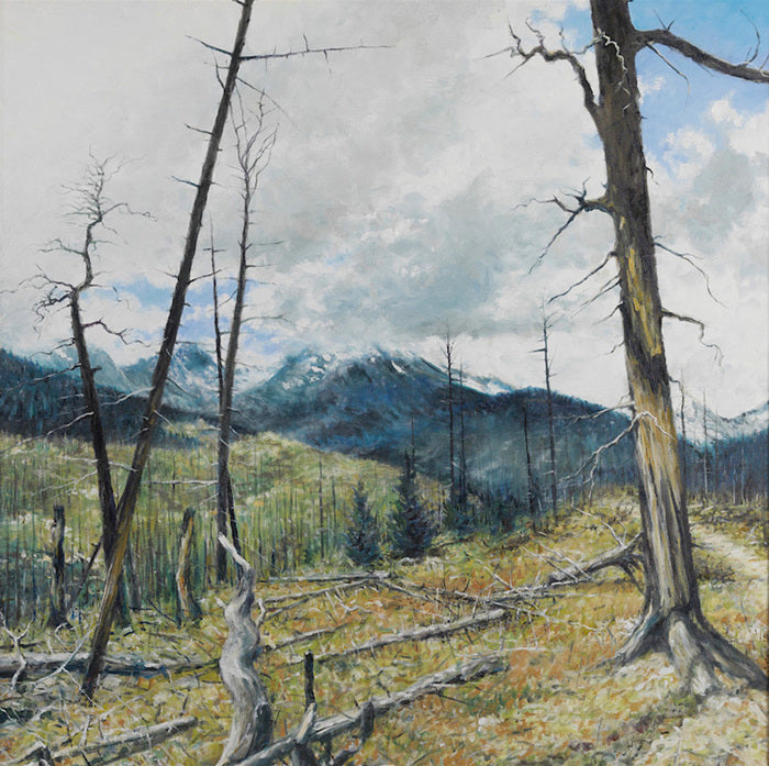 RMNP Wild Basin, 2015, oil on canvas, 48 x 48 in. / 121.92 x 121.92 cm.