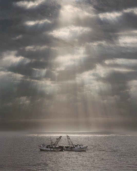 Rendezvous, 2024, archival gold toned print, 16 x 20 in. / 40.64 x 50.8 cm.