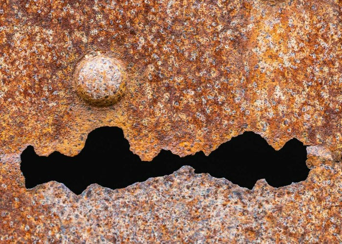 Rust Monster, 2024, photography on aluminum, 20 x 16 in. / 50.8 x 40.64 cm.