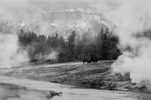 Yellowstone Landscape 09, 2025, photography, 18 x 27 in. / 45.72 x 68.58 cm.