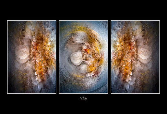 Sonogram of the Universe, 2025, photography, 24 x 18 in. / 60.96 x 45.72 cm.