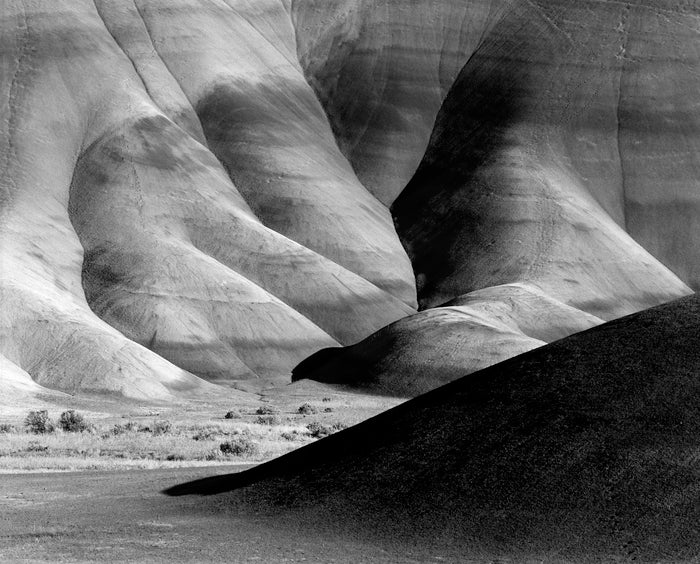 Talons, Painted Hills, 2010, silver print, 16 x 13 in. / 40.64 x 33.02 cm.