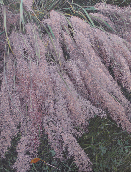 Tamarisk, October, Denver, 2021, oil, 48 x 36 in. / 121.92 x 91.44 cm.