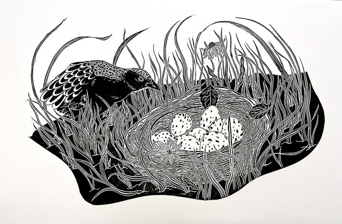 The Corn Crake Nest, 2021, relief print on paper, 15 x 20 in. / 38.1 x 50.8 cm.
