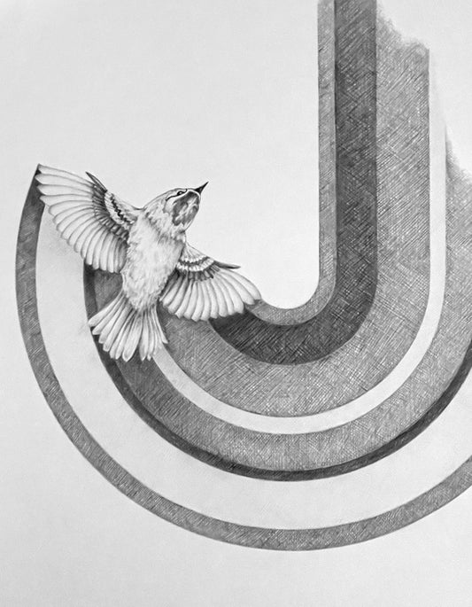 The Perpetual State of Flying Around in Circles, 2023, graphite on bristol board, 32 x 22 in. / 81.38 x 55.88 cm.