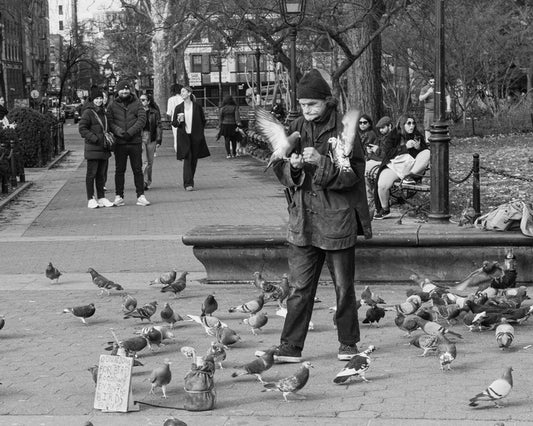 The Pigeon Man of Washington Square, 2024, digital photography, 16 x 20 in. / 40.64 x 50.8 cm.