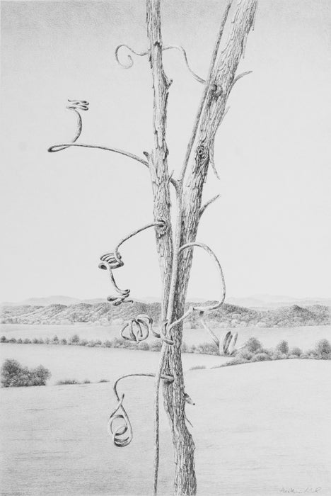 The Wild Grape Vine, 2022, graphite, 25 x 33 in. / 63.5 x 83.82 cm.