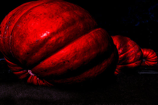 Three Pumpkins, 2024, hahnemühle photo rag, 16 x 24 in. / 40.64 x 60.96 cm.