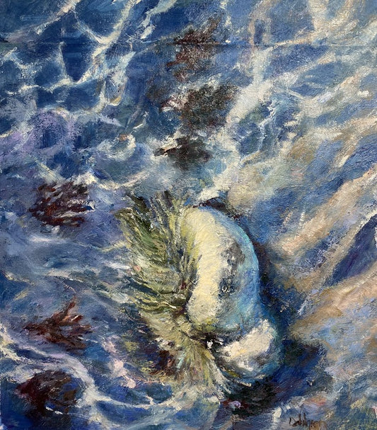 Tidepool, 2024, oil on canvas, 16 x 20 in. / 40.64 x 50.8 cm.