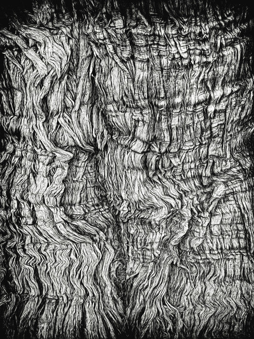 Tree Bark in Chiaroscuro, 2015, aluminum plate metal photography, 9 x 14 in. / 22.86 x 35.56 cm.