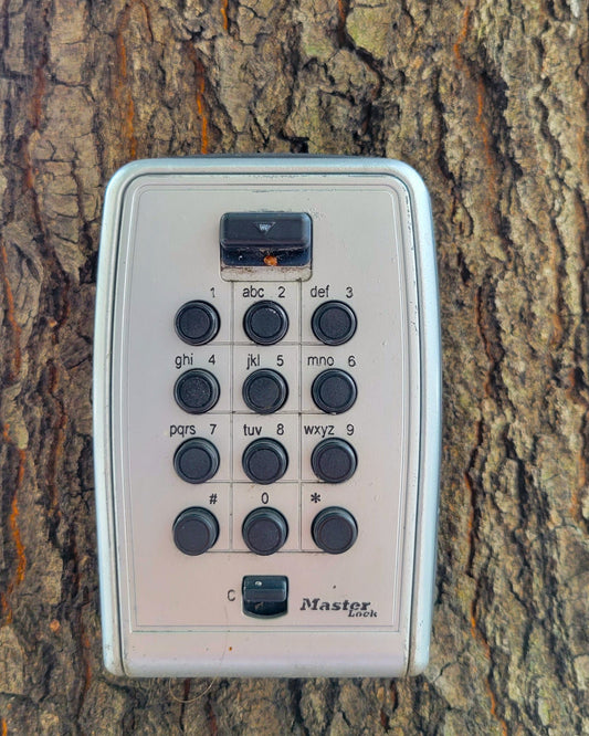 Tree Trunk Invasive, 2022, photography, 8 x 10 in. / 20.32 x 25.4 cm.