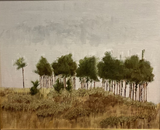 Trees on a Hill, 2019, oil on canvas, 16 x 20 in. / 40.64 x 50.8 cm.