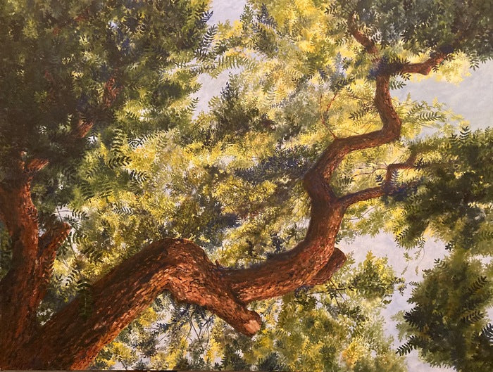 Under the Locust Tree Looking Up, 2022, oil on canvas, 30 x 40 in. / 76.2 x 101.6 cm.