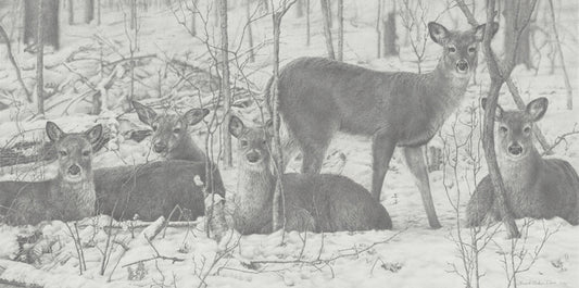 Winter's Kinship, 2023, graphite pencil on illustration board, 12 x 24 in. / 30.48 x 60.96 cm.