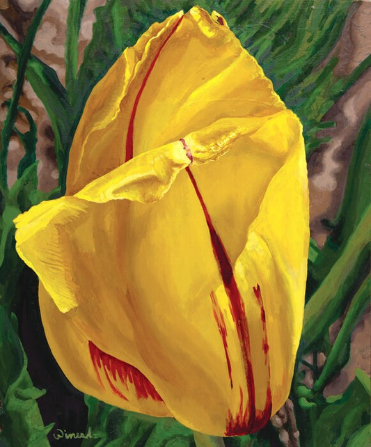 Yellow Tulip, 2023, oil on board, 20 x 24 in. / 50.8 x 60.96 cm.