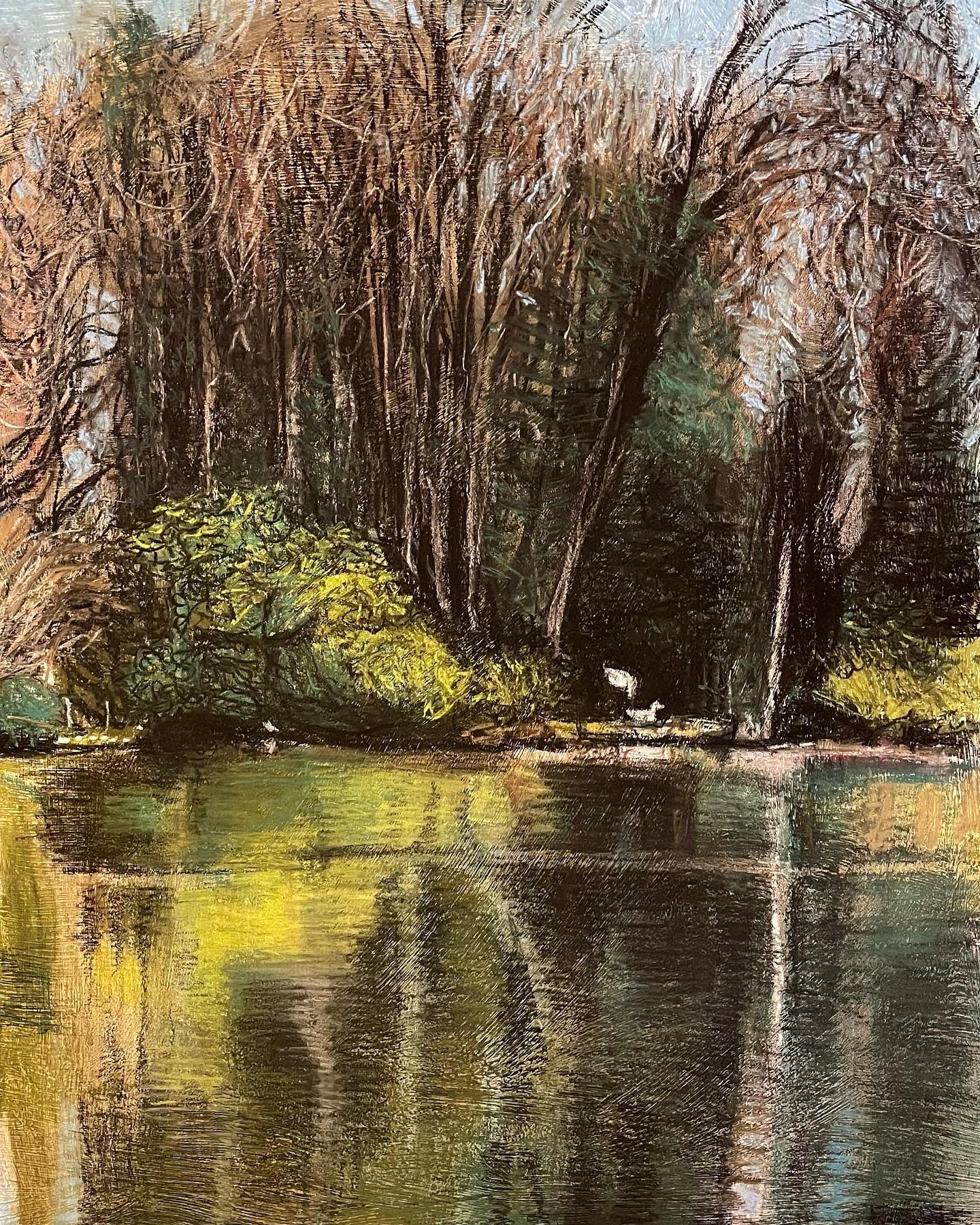 Duck Landing, 2022, chalk pastel on gessoed board, 28 x 22 in. / 71.12 x 55.88 cm.