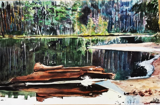 Beautiful Algonquin, 2022, watercolor on paper, 14.9 x 22.4 in. / 38 x 57 cm.