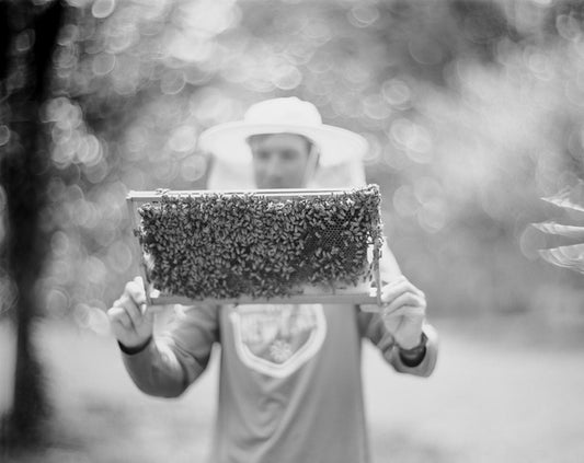 Beekeeper, 2023, photography, 16 x 20 in. / 40.64 x 50.8 cm.