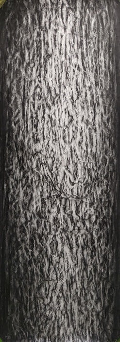 Black Cherry, 2023, charcoal, 24 x 60 in. / 60.96 x 152.4 cm.