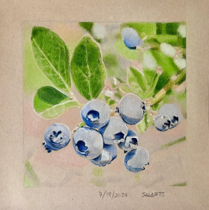 Blueberries, 2024, colored pencil on paper, 9 x 9 in. / 22.86 x 22.86 cm.