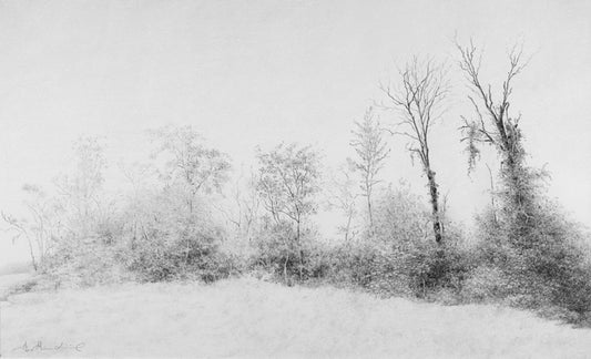 Blue Ridge Sonnet #43, 2019, graphite, 20 x 28 in. / 50.8 x 71.12 cm.
