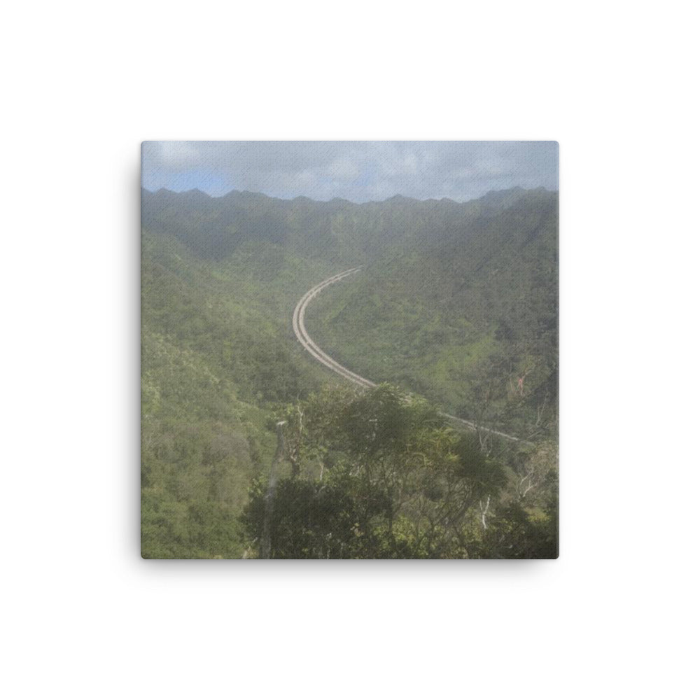 H-3 From Aiea Loop, 2023, photography on canvas print