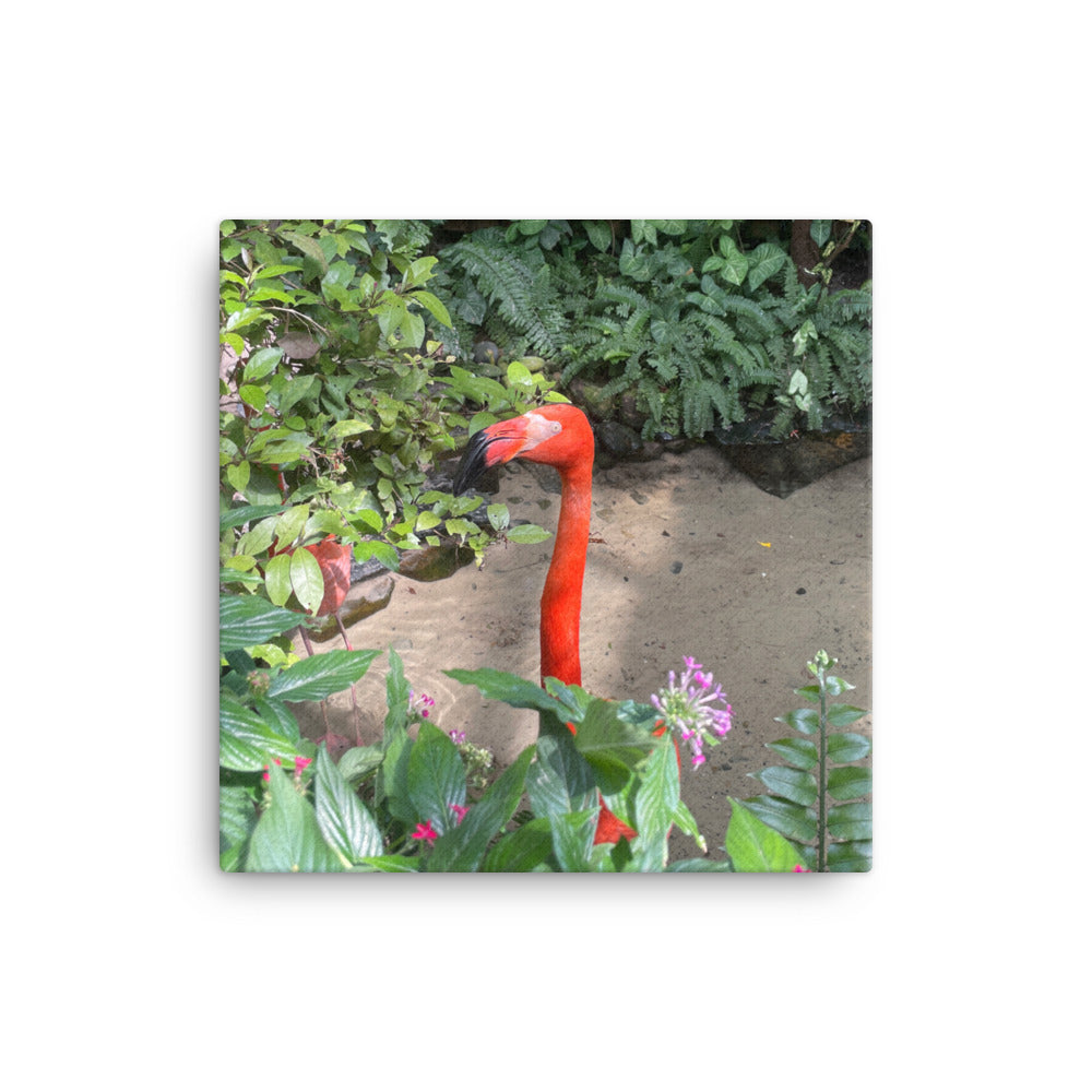 Rhett the Flamingo, 2023, photography on canvas print