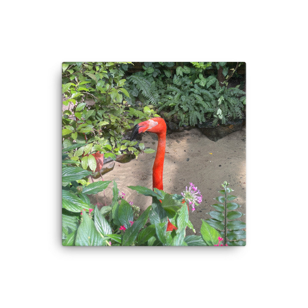 Rhett the Flamingo, 2023, photography on canvas print