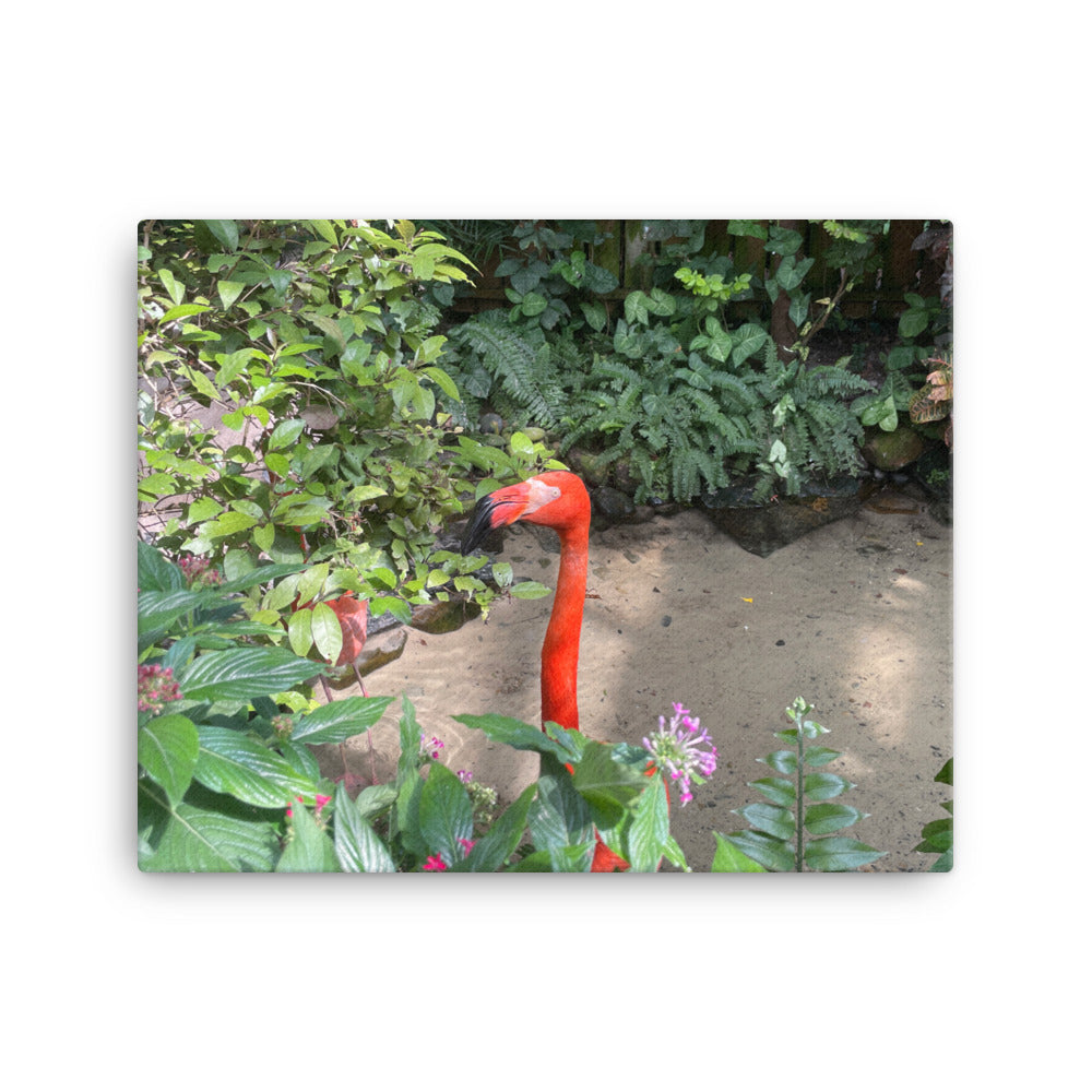 Rhett the Flamingo, 2023, photography on canvas print