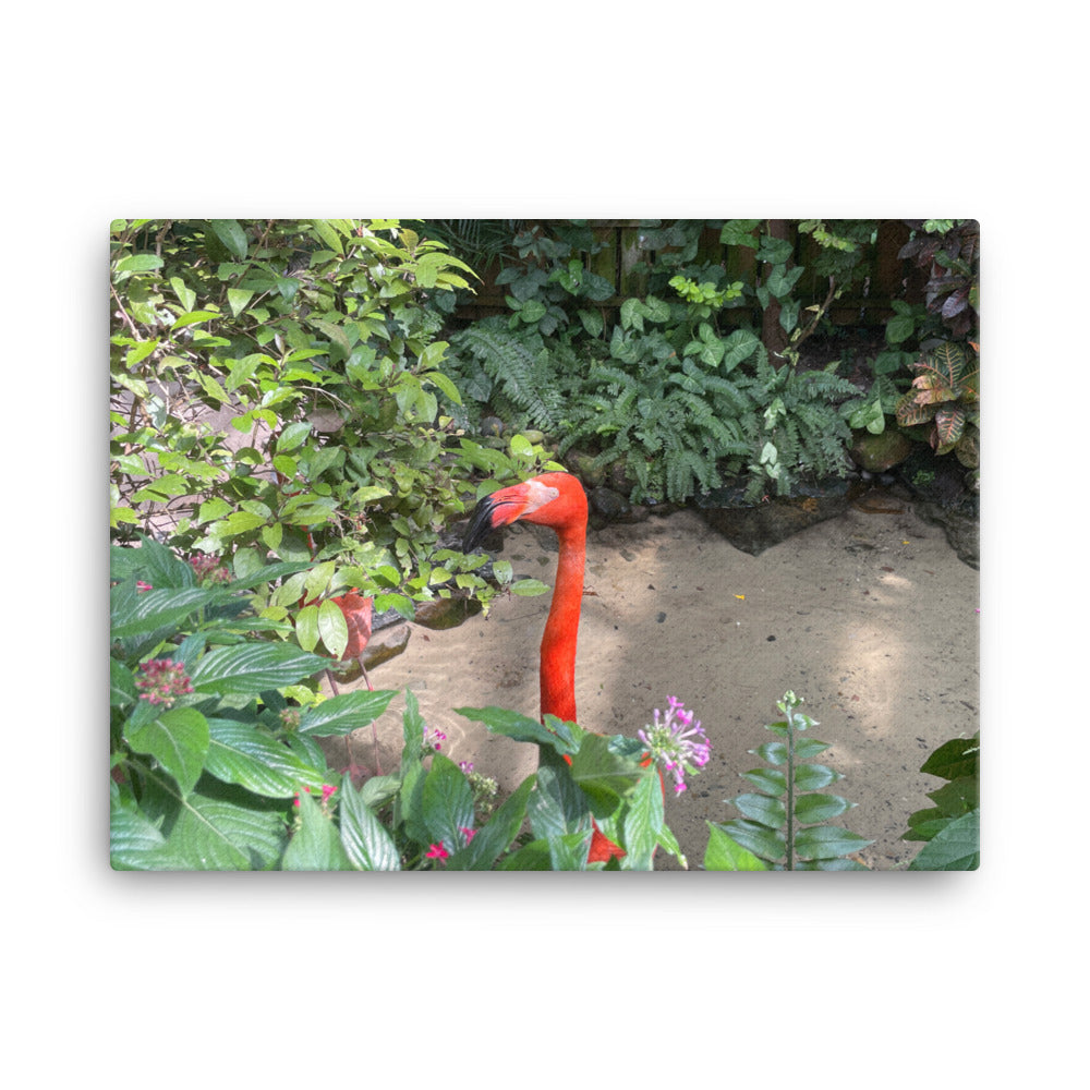 Rhett the Flamingo, 2023, photography on canvas print