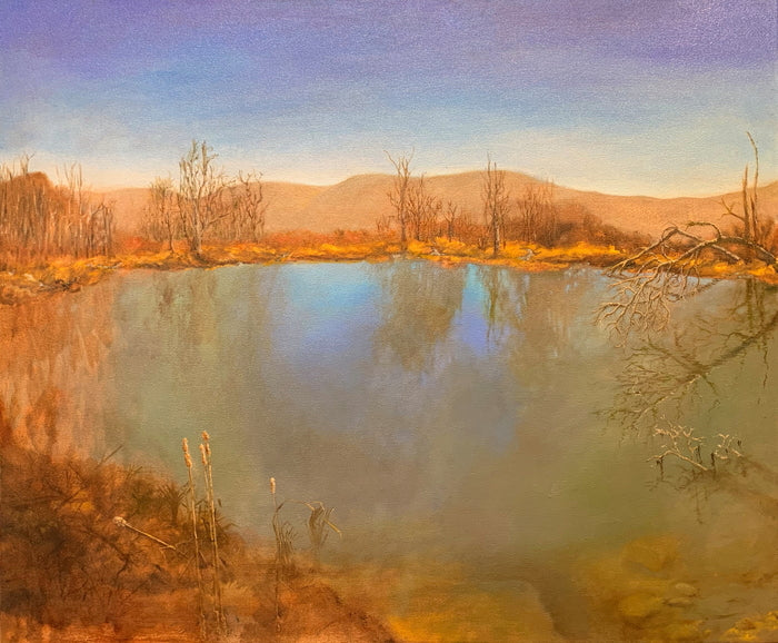 Catskill Bog, 2022, oil on canvas, 30 x 36 in. / 91.44 x 76.2 cm.