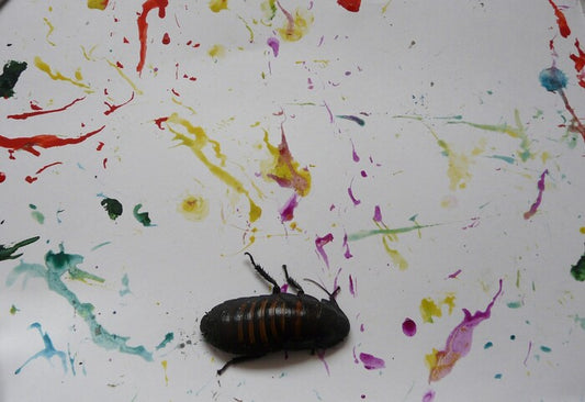 Cockroach-Painter, 2023, mixed media, 61 x 80 cm. / 24 x 31.4 in.