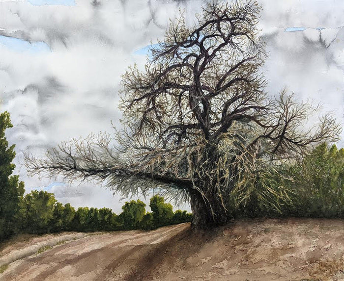 Cottonwood on Ditch Levy, 2021, watercolor, 22 x 18 in. / 55.88 x 45.72 cm.