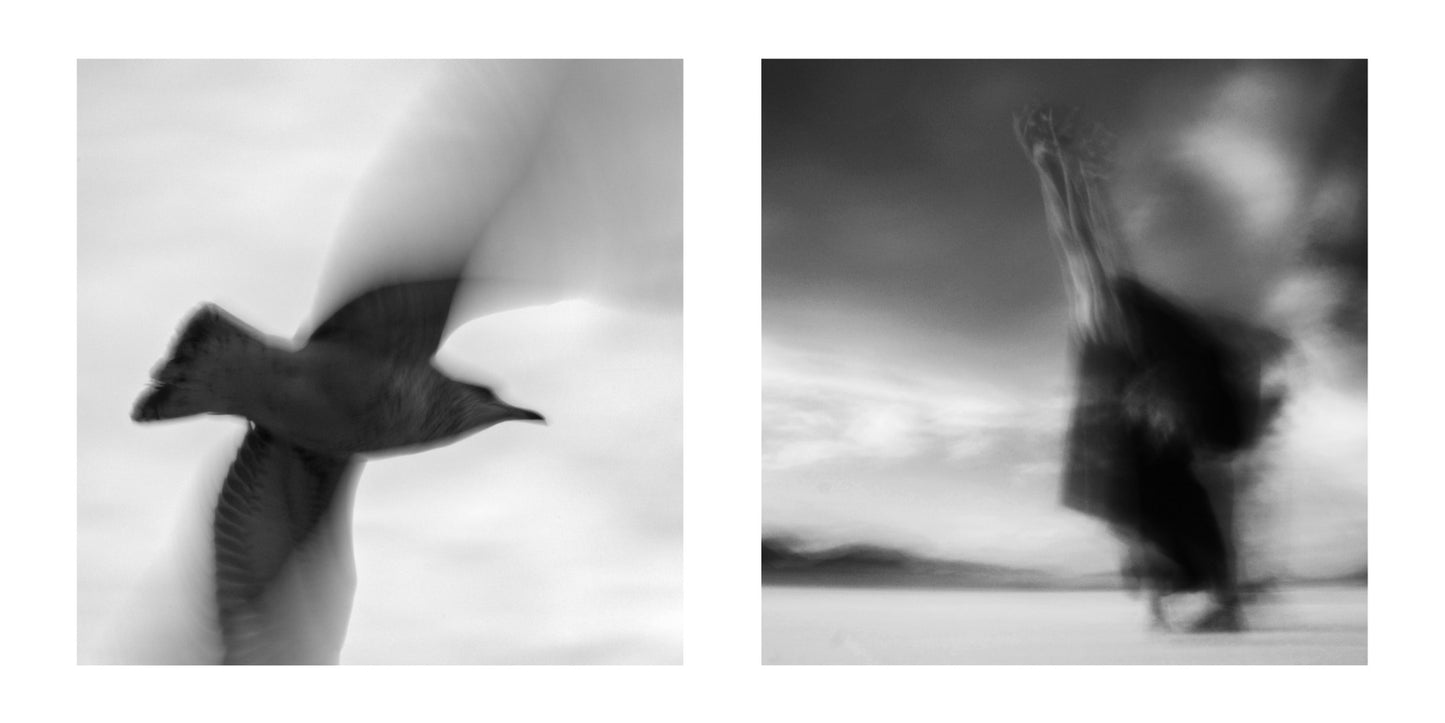 Diptych No 7, 2020, archival inkjet print, 16 x 32 in. / 40.64 x 81.28 cm.