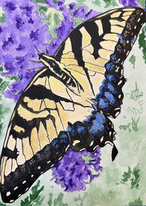 Egolf’s Tiger Swallowtail, 2023, watercolor, 7 x 5 in. / 17.78 x 12.7 cm.