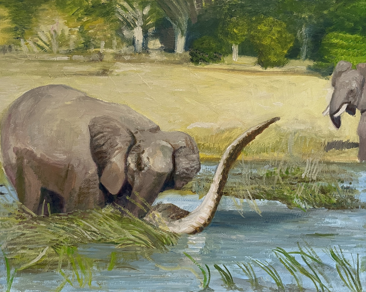 Crocodile and Elephants, 2023, oil on canvas, 16 x 20 in. / 40.64 x 50.8 cm.