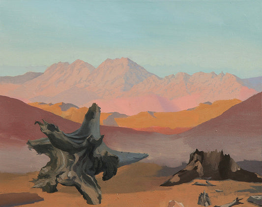 Exposure, 2021, oil on canvas, 16 x 20 in. / 40.64 x 50.8 cm.