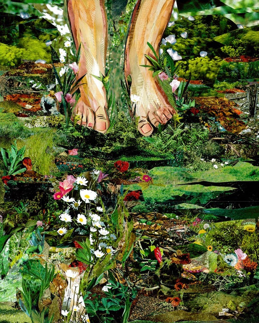 Feet in the Garden, 2017, national geographic magazines, 20 x 16 in. / 50.8 x 40.64 cm.