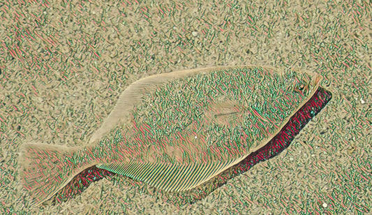 Floundering, 2020, photography, 7 x 12 in. / 17.78 x 30.48 cm.