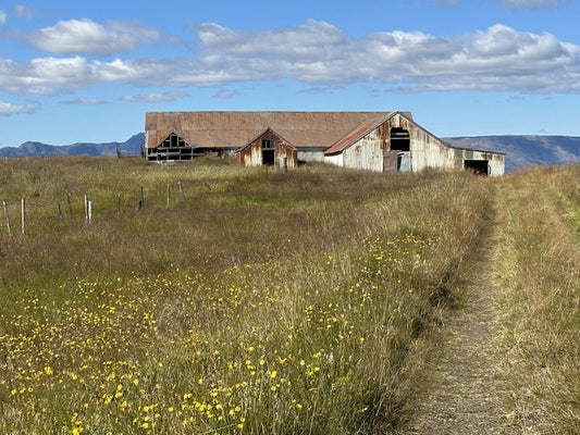 Forgotten Icelandic Barn, 2023, photography, 23 x 32 in. / 58.42 x 81.28 cm.