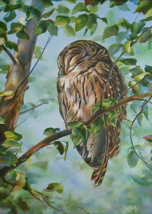 Forty Winks: Barred Owl, 2020, oil, 24 x 18 in. / 60.96 x 45.72 cm.