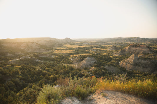 Golden Hills, 2024, e-surface paper, 24 x 36 in. / 60.96 x 91.44 cm.