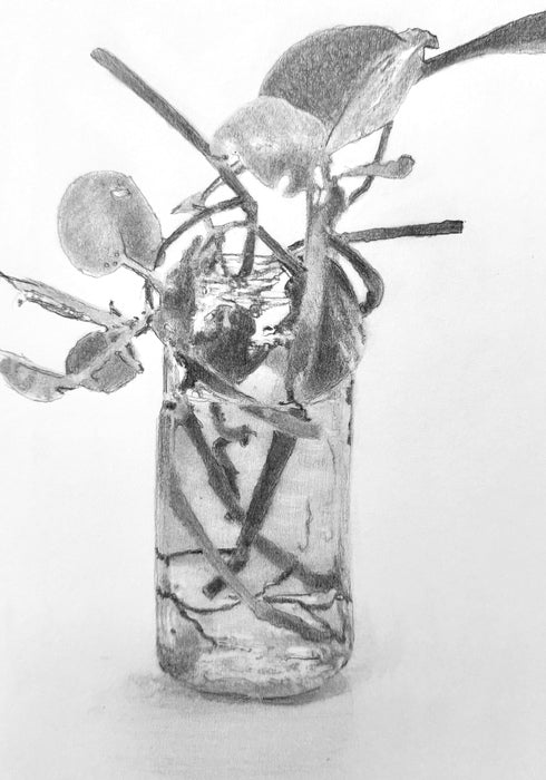 Golden Pothos, 2024, graphite on board, 12 x 9 in. / 30.48 x 22.86 cm.