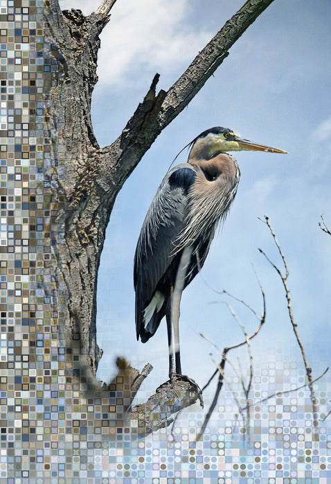 Heron's Throne, 2023, photography, 28 x 21 in. / 71.12 x 53.34 cm.