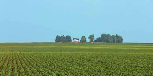 Home (a Story Inspired by Grant Wood and Wes Anderson), 2023, photography, 7 x 14 in. / 17.78 x 35.56 cm.