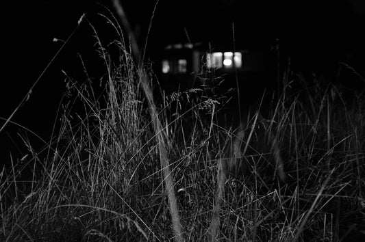 Home, 2020, photography, 11 x 14 in. / 27.94 x 35.56 cm.