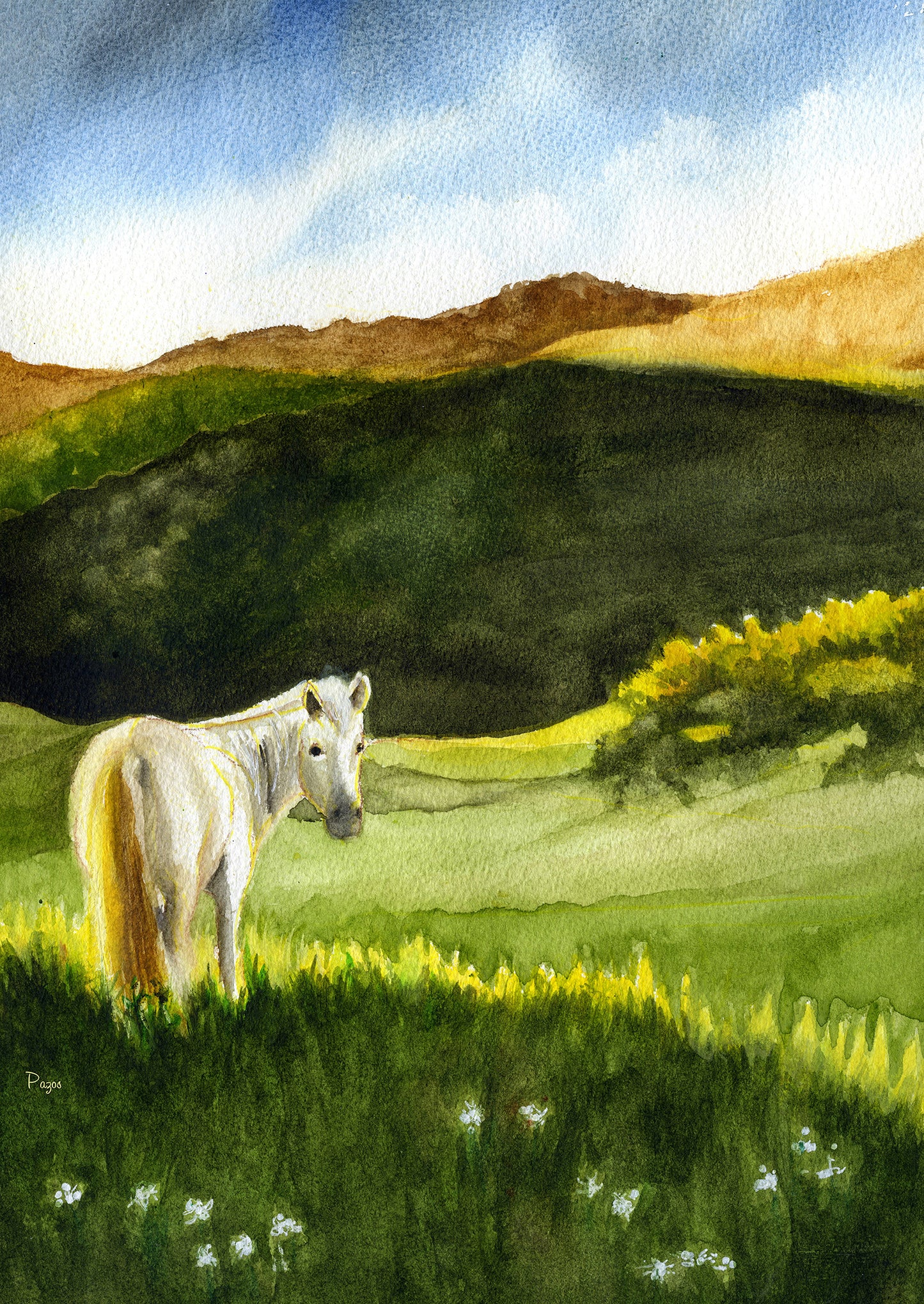 Horse on Sunny Ridge, 2023, watercolor, 11 x 15 in. / 27.94 x 38.1 cm.