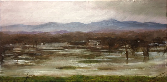 The Housatonic in Flood, 2019, oil on canvas, 12 x 24 in. / 30.48 x 60.96 cm.