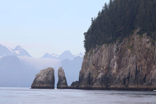 Kenai Fjords Coast, 2019, digital photography on canvas, 11 x 14 in. / 27.94 x 35.56 cm.