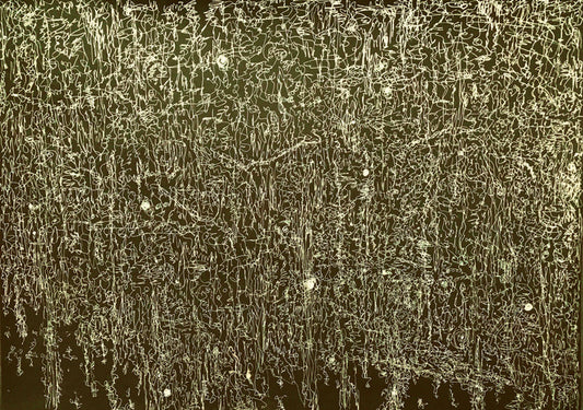 Beyond the Kuiper Belt #18, 2022, ink on paper, 23 x 32 in. / 58.42 x 81.28 cm.